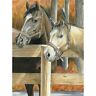 Cpbnk-16  Royal Brush Color Pencil By Number Kit Bucks 090672943569