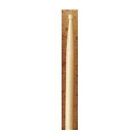N-a Ludwig Wood Tip Barrel Bead Jazz Brand New 0641064123818