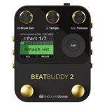 Singular Sound 2 Is Drummer Guitar Pedal Ii. Fixed Price $499.00.