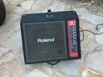 Roland PM-1 V-drum Electronic Keyboard Monitor Speaker Amplifier PM1. Fixed Price $109.99.