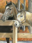 A4 & A5 Colour Pencil By Numbers 30+ Pictures To Choose Art Craft Kits Not Paint. Fixed Price $6.83.