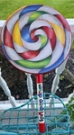 Kids Percussion Lollipop Drum, 8" Remo Product. Fixed Price $9.99.