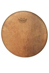 Remo Skyndeep Pandeiro Head 10". Fixed Price $45.00.