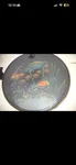 Remo Ocean Fish Graphics, 12", Wave Drum, Rain Sound. Fixed Price $61.00.