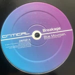Breakage Blue Mountain/astro RARE/DRUM&BASS/JUNGLE/12 Equinox/bassbin Etc. Fixed Price $29.54.