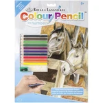 Color Pencil By Number Kit 8.75X11.75 Buck's Pal. Fixed Price $11.74.