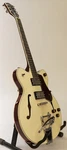 Gretsch G2622T Streamliner Center Block Double-cut Electric Guitar (white). Fixed Price $539.49.