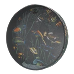 Remo ET-0216-10- Ocean Drum, 16" Diameter, 1/2" Depth, Fish Graphic. Fixed Price $85.08.