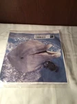3DROSE Ht 86554 Atlantic Bottlesnose Dolpin Iron Heat Transfer. Fixed Price $13.00.