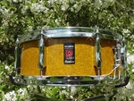 Olympic Vintage Drums 1970 Snare 5.5X14 Gold Sparkle Pearl Premier Nice One. Fixed Price $325.00.