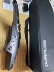 Roland AE-10 Aerophone Digital Wind Synth Tested Working Excellent AE10. Fixed Price $338.80.