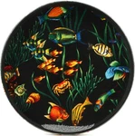 Remo Ocean Drum 16-INCH Fish Graphic. Fixed Price $83.95.
