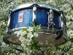 Olympic Vintage Drums 1970 Snare 5.5X14 Blue Shimmer Pearl Premier Nice One. Fixed Price $325.00.