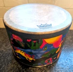 Remo Kids Percussion Rain Forest Floor Tom 10 Across The Top No Drumsticks. Fixed Price $19.99.