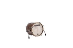 Sonor Momentum Maple 18X14.25" California Burl Bass Kick Drum Authorized Dealer. Fixed Price $1899.00.