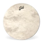Evans Bass Heads - Calftone BD20CT Inch. Fixed Price $79.98.