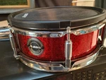 Alesis 10" Dual-zone Mesh Drum Pad For Strike And Pro Electronic Kit. Fixed Price $95.00.