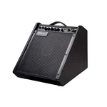 Electric Drum 100-WATT Electronic Amplifier DM100 Keyboard Speaker. Fixed Price $185.74.