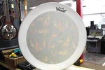 2016 Remo LK-5840-1G Gathering Drum Lynn Klemier Made Usa. Lowered Price!l. Fixed Price $450.00.