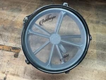 Ashthorpe Ut Remo Drum Head 10" Chrome Bracket. Fixed Price $79.95.
