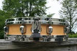 Tama 3.25 X 14 Maple Piccolo Snare Drum. Fixed Price $699.99.