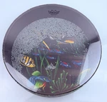 Remo Ocean Drum 12" Fish Graphic. Fixed Price $55.00.