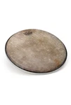 Remo Skyndeep Doumbek Head, 10" - Fish Skin. Fixed Price $38.00.