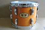 Pearl Vision Vmx 10" All Maple Tom In Terracotta Lacquer For Your Drum Set! Q836. Fixed Price $197.95.