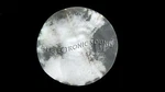 New Aj 18" Diameter Round Cut Real Goat Skin Head For Ashiko,djembe, Native Drms. Fixed Price $20.95.